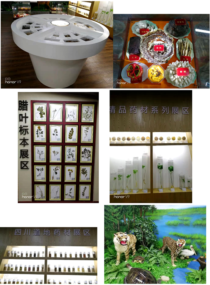 C:\Users\remoteapp\Pictures\2021教学成果\中药学院\标本2.png