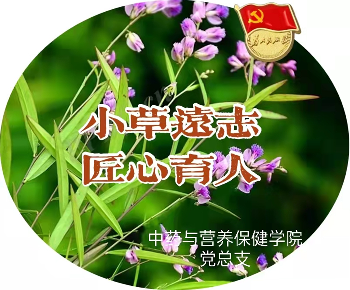 图片1 (3).png